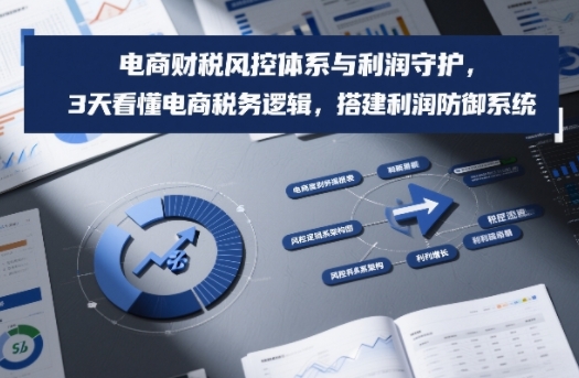 电商财税风控体系与利润守护，3天看懂电商税务逻辑，搭建利润防御系统-迦哆网创社