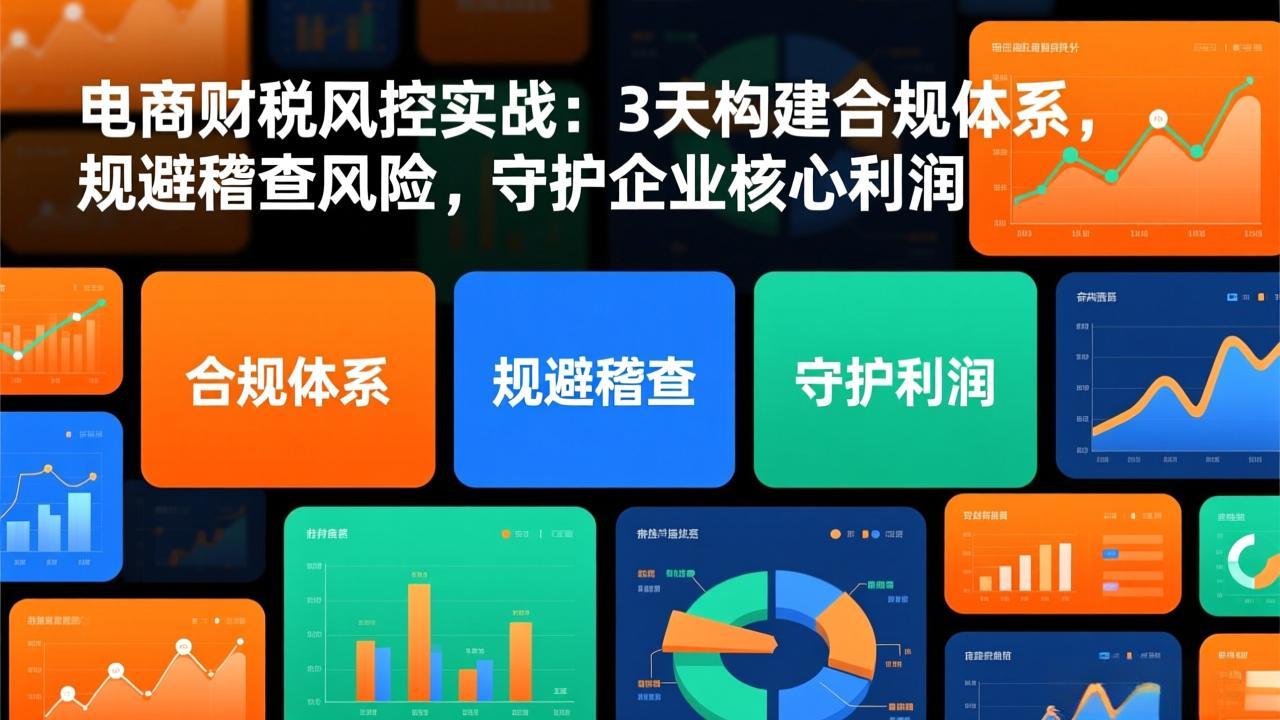 电商财税风控实战：3天构建合规体系，规避稽查风险，守护企业核心利润-迦哆网创社