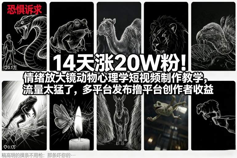 14天涨20W粉！情绪放大镜动物心理学短视频制作教学，流量太猛了，多平台发布撸平台创作者收益-迦哆网创社