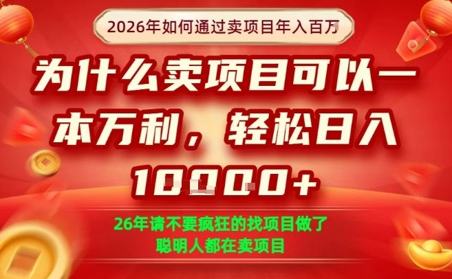 一单净利润1K+，26年想年入100个W，死磕卖项目就够了【揭秘】-迦哆网创社