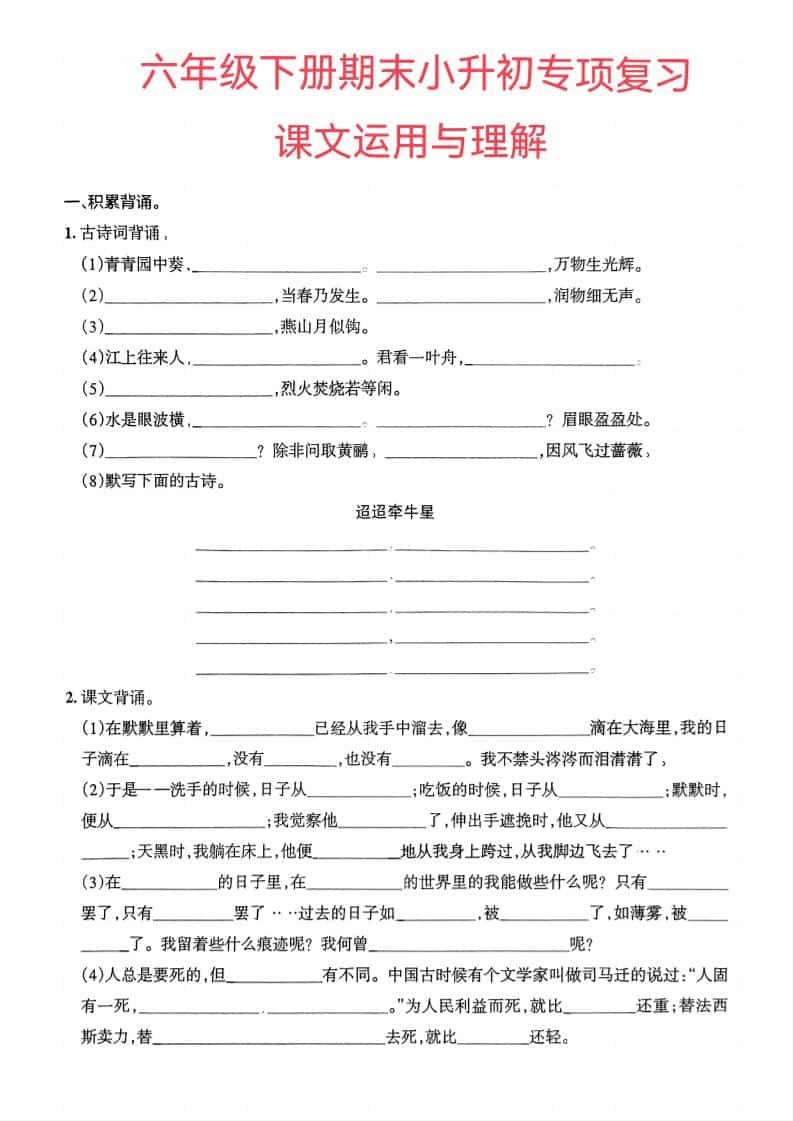 六年级下语文小升初课文运用与理解专项练习-迦哆网创社