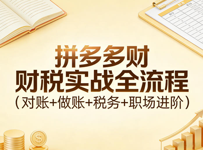 拼多多财税实战全流程(对账+做账+税务+职场进阶)-迦哆网创社