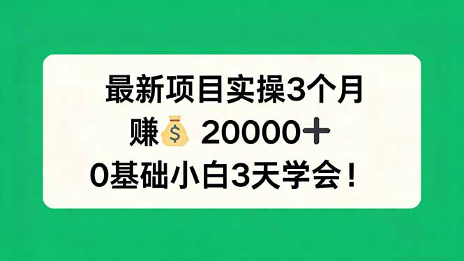 最新项目实操3个月，赚钱20000+，0基础小白3天学会！-迦哆网创社