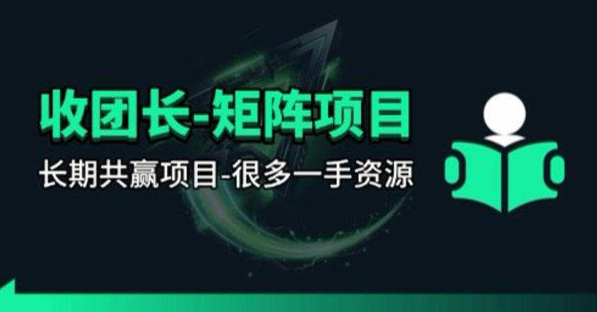 【团长合作】视频矩阵项目_招发手矩阵+剪辑师，共赢项目【揭秘】-迦哆网创社