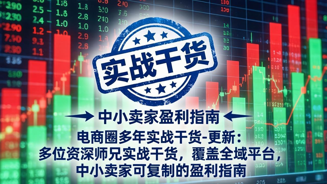 电商圈多年实战干货-更新5月10：多位资深师兄实战干货/覆盖全域平台，中小卖家可复制的盈利指南-迦哆网创社