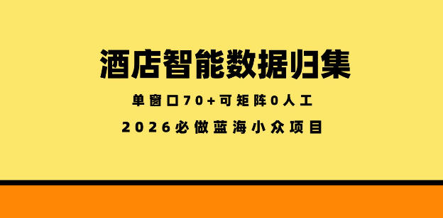 酒店智能数据归集，小众蓝海已经稳定半年之久，单窗口70+零成本矩阵开干【揭秘】-迦哆网创社