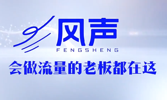 董十一·风声短视频AI获客年度会员-迦哆网创社