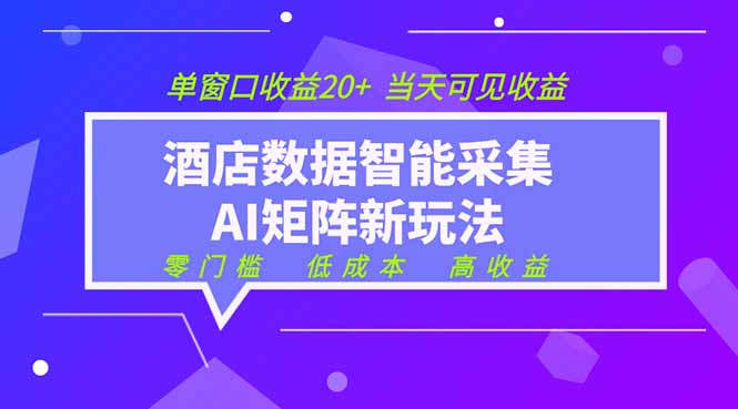 2026酒店数据采集ai智能矩阵新风口  低成本   高收益   当天见收益   单窗口20+-迦哆网创社