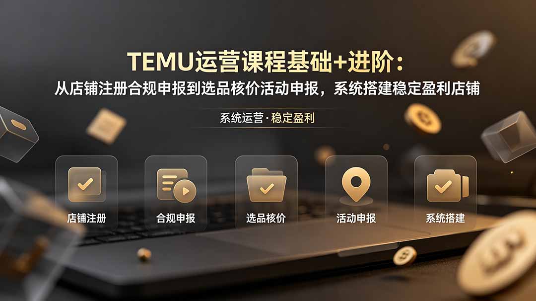 TEMU运营课程(基础+进阶-迦哆网创社