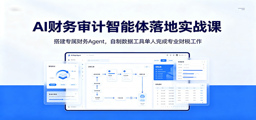 AI财务审计智能体落地实战课：搭建专属财务Agent，自制数据工具单人完成专业财税工作-迦哆网创社