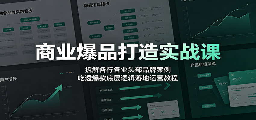 商业爆品打造实战课：拆解各行各业头部品牌案例，吃透爆款底层逻辑落地运营教程-迦哆网创社