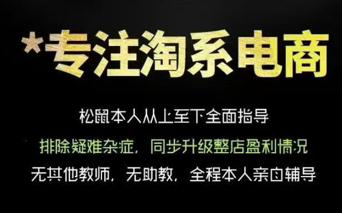 松鼠会电商VIP课程，从基础布局到高阶优化，助你掌握淘宝运营逻辑，提升店铺流量与转化(更新0815)-迦哆网创社