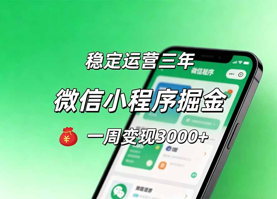 月收益稳定1W+的微信小程序，前期积累客户，后期躺平养老，小白轻松上手-迦哆网创社