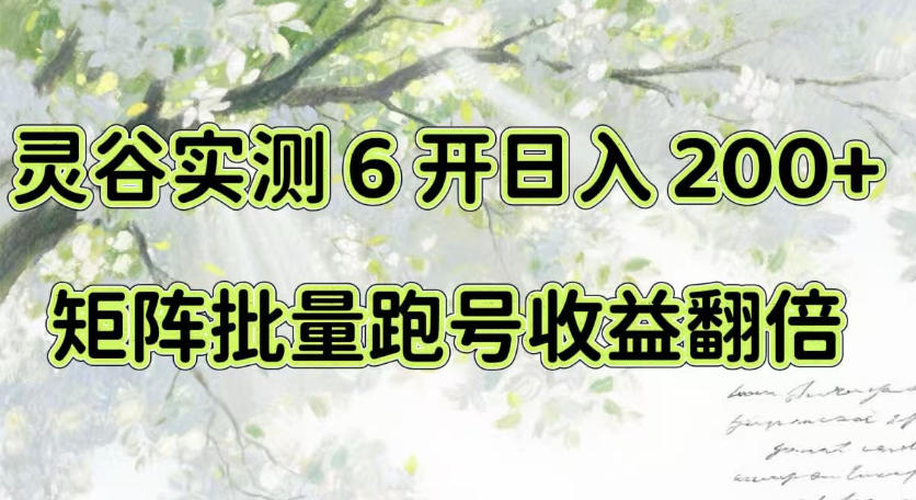 一台电脑就能做！灵谷实测6开日入200+，矩阵批量跑号收益翻倍【揭秘】-迦哆网创社