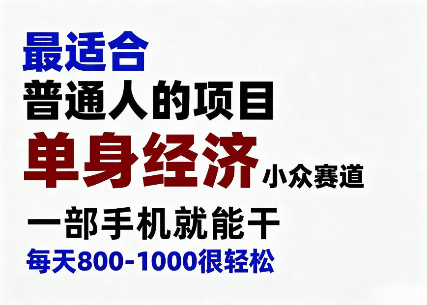 身经济小众赛道，一部手机就能干，每天搞个800-1000很轻松，最适合普通人的项目【揭秘】-迦哆网创社