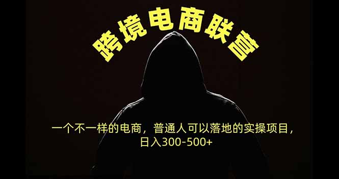 跨境电商联营，一个不一样的电商，普通人可操作日入300-500+-迦哆网创社