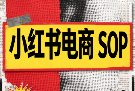 书豪必胜小红书电商sop(更新9月)-迦哆网创社