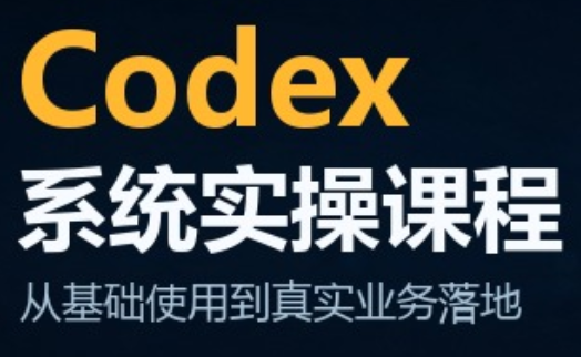 codex系统实操课程(更新10月)-迦哆网创社