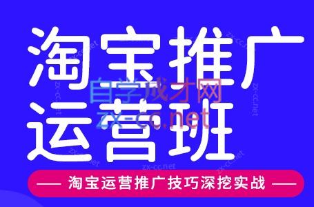 美迪电商·淘宝高级运营班+推广运营班(更新10月)-迦哆网创社