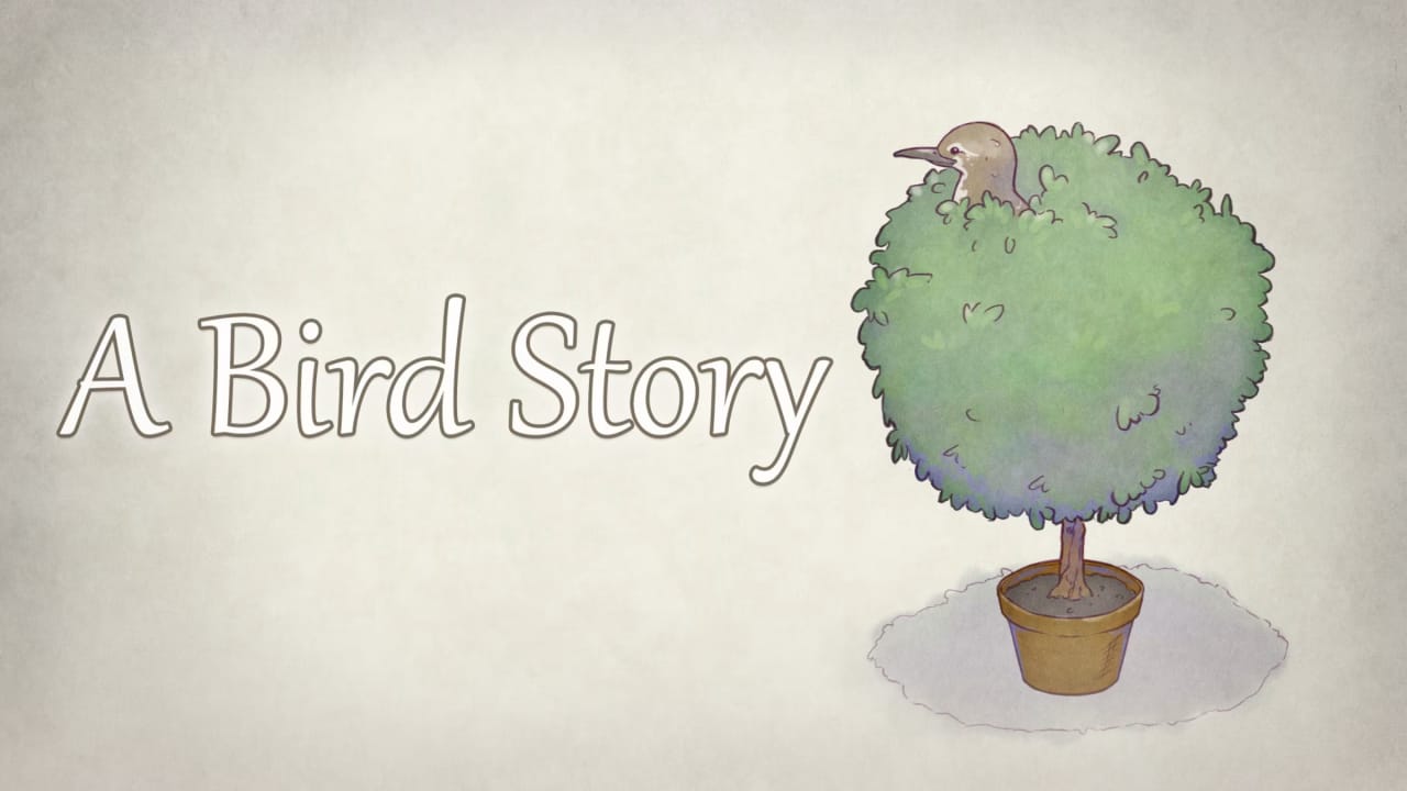 鸟的故事丨A Bird Story-迦哆网创社