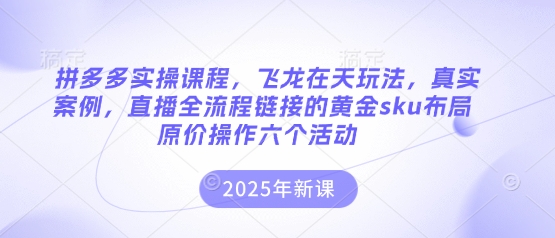 拼多多实操课程，飞龙在天玩法，真实案例，直播全流程链接的黄金sku布局原价操作六个活动-迦哆网创社