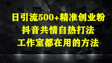 日引流500+精准创业粉，抖音共情自热打法，工作室都在用的方法-迦哆网创社