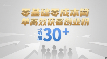 零基础零成本简单高效获客创业粉，一天引流30+-迦哆网创社