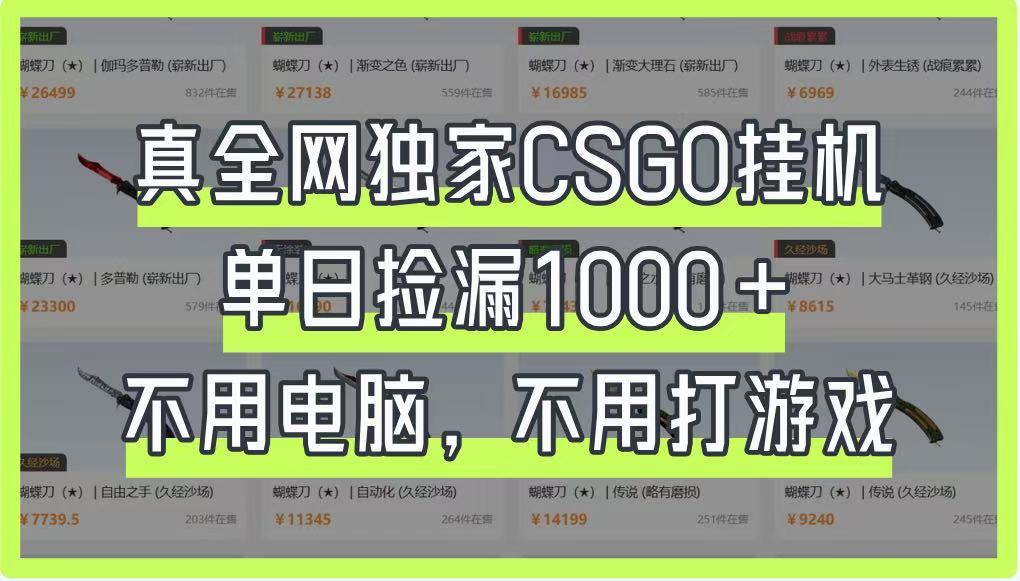 真全网独家CSGO挂机，单日捡漏1000+，不用电脑，不用养号-迦哆网创社