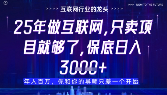 什么！25年你还在找项目做？风口早就变了，卖项目才是稳挣不赔【揭秘】-迦哆网创社