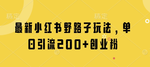 最新小红书野路子玩法，单日引流200+创业粉-迦哆网创社