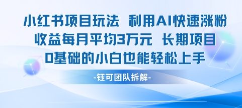 适合小白操作的小红书新项目，利用AI快速涨粉，收益每月平均1W+-迦哆网创社