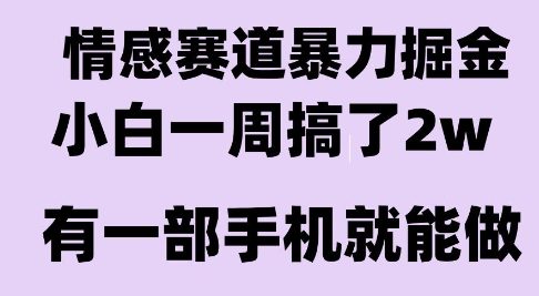 情感暴力掘金项目，新人操作一周挣了2W，长期稳定小白可做【揭秘】-迦哆网创社