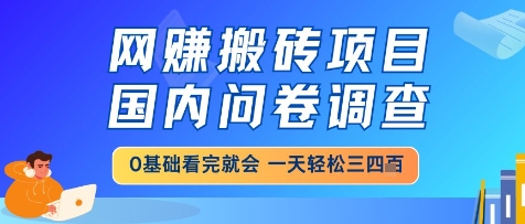 网创搬砖项目，国内问卷调查，小白轻松上手，一天三四张的也不难，干就完了【揭秘】-迦哆网创社