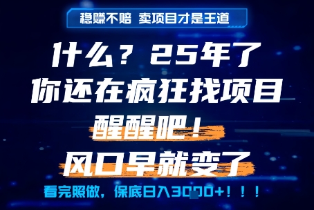 什么？25年你还在疯狂找项目做，醒醒吧，看完这些你全都懂了！【揭秘】-迦哆网创社