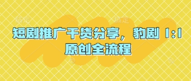 短剧推广干货分享，豹剧 1:1原创全流程-迦哆网创社