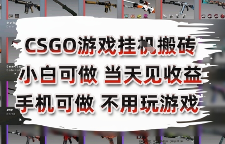 CSGO游戏挂G搬砖，小白纯手机即可操作，不用电脑打游戏，日入3张+，副业网创项目【揭秘】-迦哆网创社