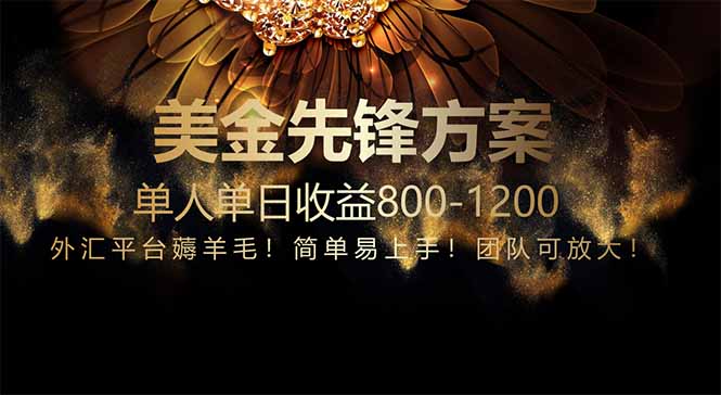 免费技术！小众赛道！一年布局抵三年努力，每日800+-迦哆网创社