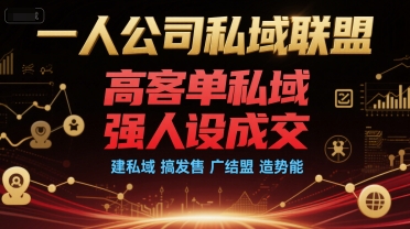 一人公司私域联盟，高客单私域，强人设成交，建私域 搞发售 广结盟 造势能-迦哆网创社