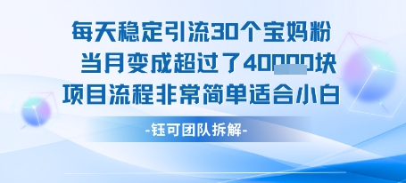 每天稳定引流30个人 当月变成超过了4个W项目流程非常简单适合小白-迦哆网创社