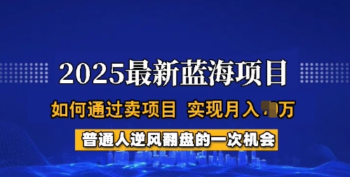 2025蓝海项目，普通人如何通过卖项目，实现月入过W，全过程【揭秘】-迦哆网创社