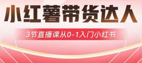 小红薯达人带货启航计划，3节直播课从0-1入门小红书-迦哆网创社