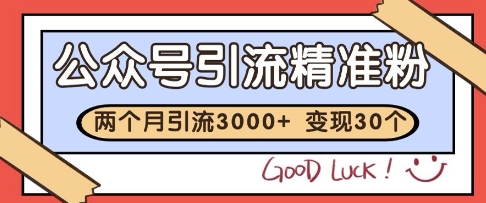 公众号精准粉引流玩法，2个月3000+精准粉，变现30个W【揭秘】-迦哆网创社