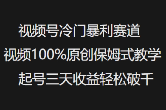 视频号冷门暴利赛道视频100%原创保姆式教学起号三天收益轻松破千-迦哆网创社