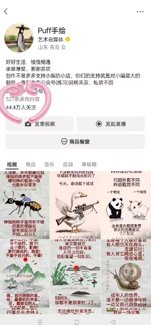 Puff手绘视频号分成项目，三天过分成计划，简单易上手，适合新手-迦哆网创社