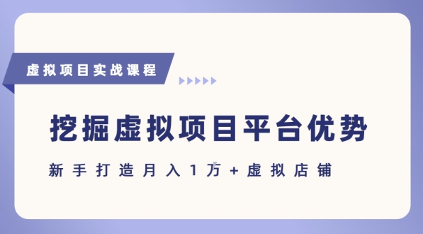 抓住虚拟项目各平台优势，新手轻松月入1W+(给出具体建议)-迦哆网创社
