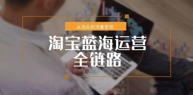 淘宝蓝海运营全链路，从选品到流量变现，小类目突围完整方案-迦哆网创社