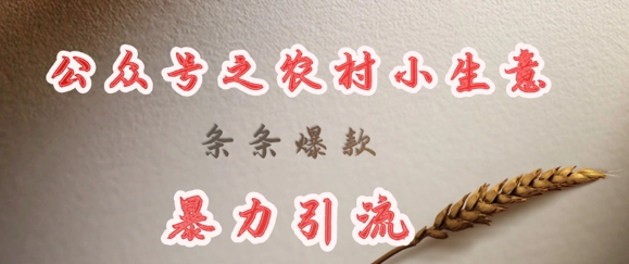 deepseek写农村小项目，条条爆款，暴力引流-迦哆网创社