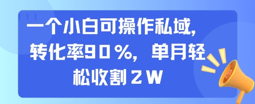 一个小白可操作私域，转化率90%，单月轻松收割2W-迦哆网创社