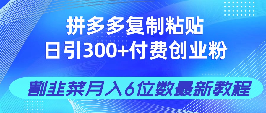 拼多多复制粘贴日引300+付费创业粉，割韭菜月入6位数最新教程！-迦哆网创社