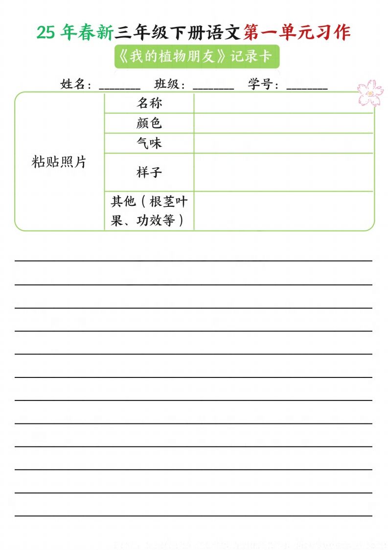 【习作】25年春新三下语文第一单元习作（观察单）16页-迦哆网创社